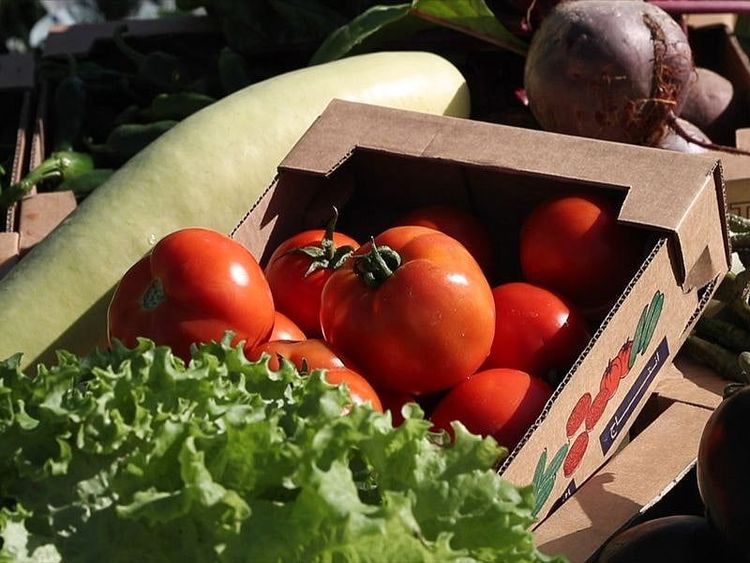 UAE_ensuring_food_security_172c6904169_original_ratio.jpg