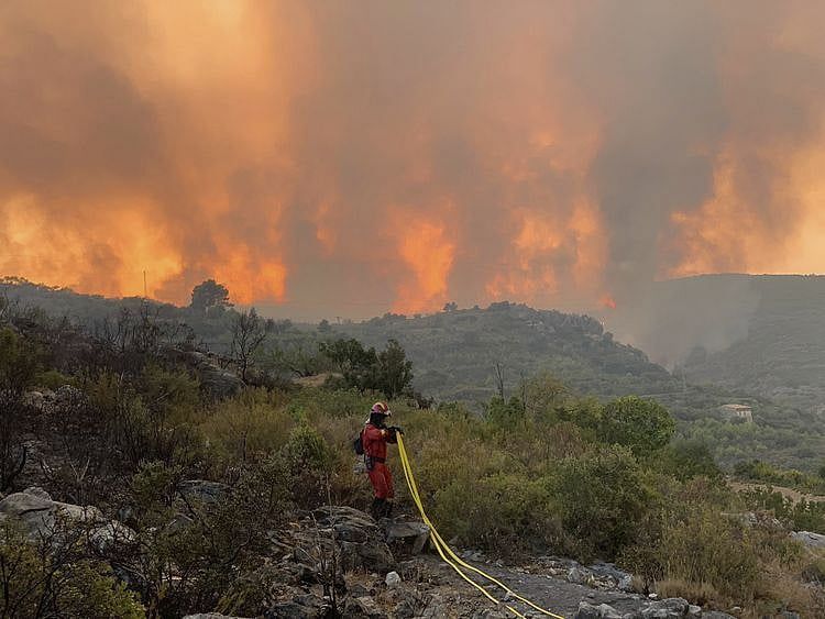 forest-fire-1660730295558_182ab3d454d_large.jpg