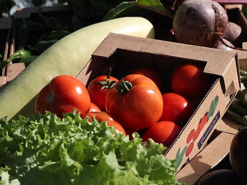 UAE_ensuring_food_security_172c6904169_original_ratio.jpg